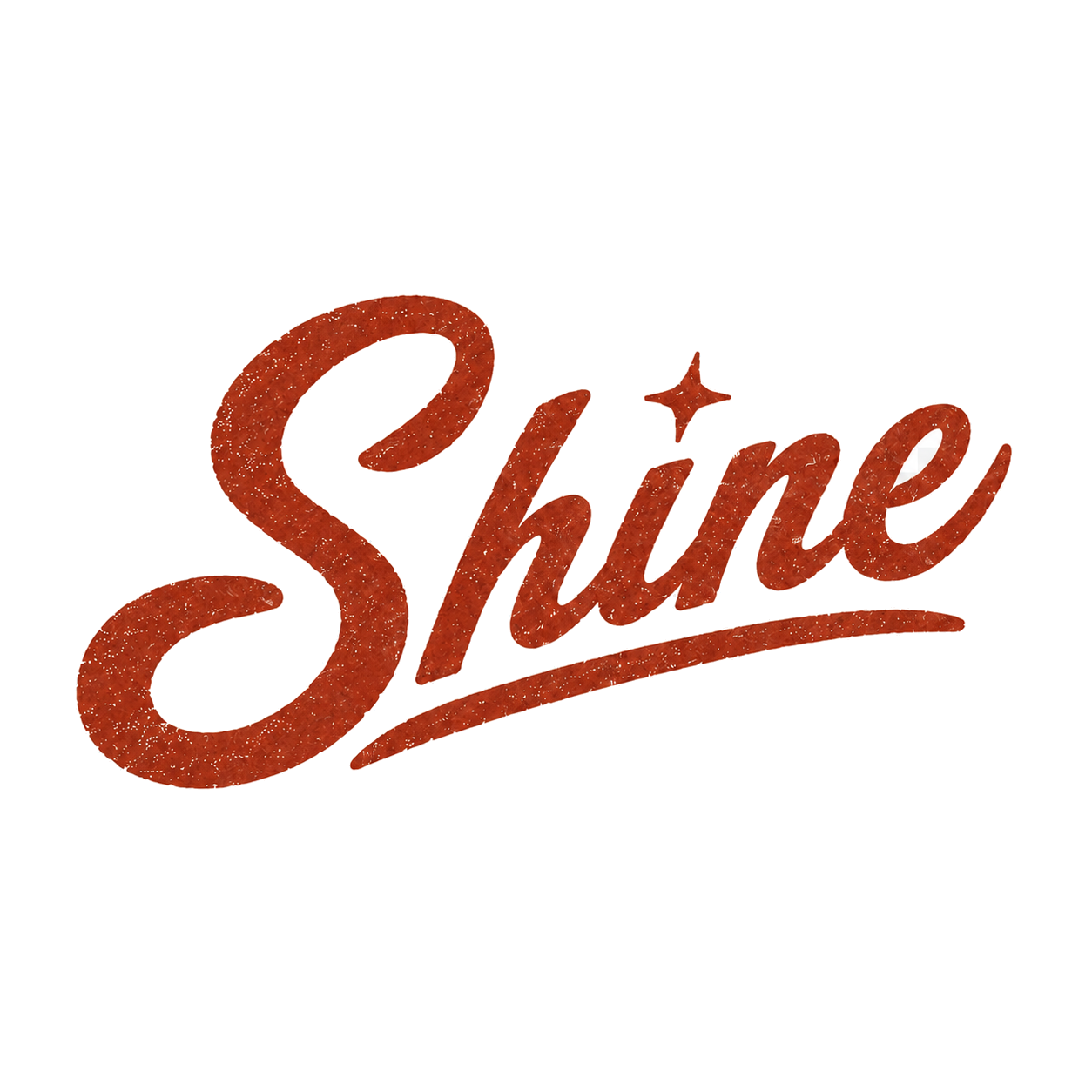 Shine Detail logo